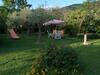 Agroturismo Gli Olivi