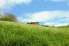 Agroturismo Agriturismo Il Podere