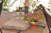 Bed & Breakfast Il Casale Dei Conti
