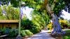Apartamento Kibutz Tiratzvi - Country Lodging