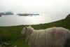 Bed & Breakfast Carraig Liath House