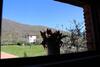 Agroturismo Agriturismo Il Castagneto