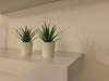 Mondello Sea View Beach Apartment