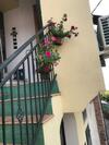 La Collina