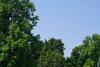 Cremella Villa Sleeps 26 With Pool