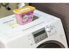Apartamento Prestige Sapporo 305 - Vacation Stay 10615
