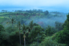 Bali Rich Luxury Villas & Spa Ubud