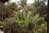 Hostal Bali Gardenview Cottages