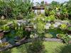 Hostal Rumah Sungai Villa