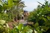 Hostal Marrakech Retreat By La Siredrah