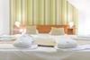 Zenit Wellness Hotel Balaton