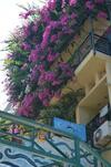 Angeliki's Apartments