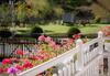 Hostal Vila Anelisse