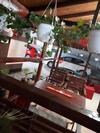 Hostal Vila Raysa Si Andrei Costinesti