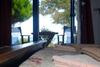 Archondissa Boutique Beach Aparthotel
