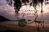 Hotel Samed Tropical Resort