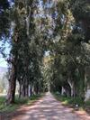 Hotel Yucca House G�kova