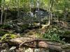 Loblolly Pines Adventure Cabin 2 King
