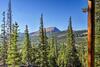 Grand Fairplay Cabin With Deck And Mountain Views