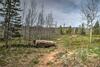 Luxury Silverthorne Home - 3 Decks, Mountain Views