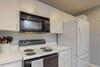 Sea Colony- 54010 Sand Dollar