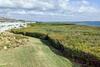 Perico Bay View
