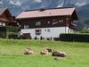 Bed & Breakfast Haus Karl's Ruh