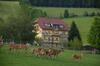 Posada Wildwiesenhof