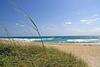 Portside 1 - 1 Bedroom 206 Inlet Way