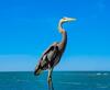 Apartamento Affordable Beach Condos -two Bed Condo With Full Kitchen Condo