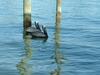 Apartamento Affordable Beach Condos -two Bed Condo With Full Kitchen Condo