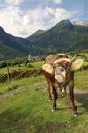 Bed & Breakfast Fr�hst�ckspension Villa Sonne