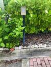 Luxury Gulf Beach Living - Cor?nas Gris