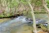 Wolf Creek Retreat