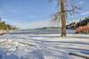 Cozy Worley Cabin With Lake Access And Gas Grill!