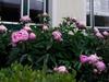 Hotel Landhaus Pannonia