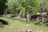 Apartamento Canyon Creek Condo 111