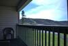 2102 - Silver 2 Bdrm - 1000 Sf Sleeps 4
