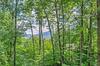Private Sapphire Valley Resort Cabin With Mtn Views!