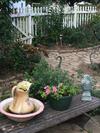 Bed & Breakfast 1873 Victorian Rose