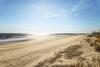 Ocean Boulevard 714
