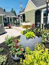 Hotel Eo Bungalows, Black Hills