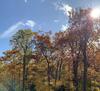 Apartamento Woodland Lodging