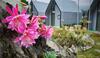 Apartamento Sapa The Chill Garden & Villas