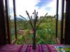 The Hill Sapa Homestay