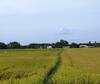Cu Chi Boutique Farmstay