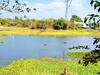 Cu Chi Boutique Farmstay