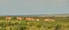 Hotel de Hoop Collection - Equipped Cottages