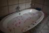 Apartamento House Alika