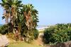 Apartamento Rosscarbery 3